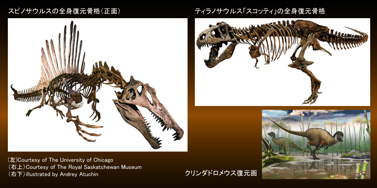 著作権保護のため画像保存禁止