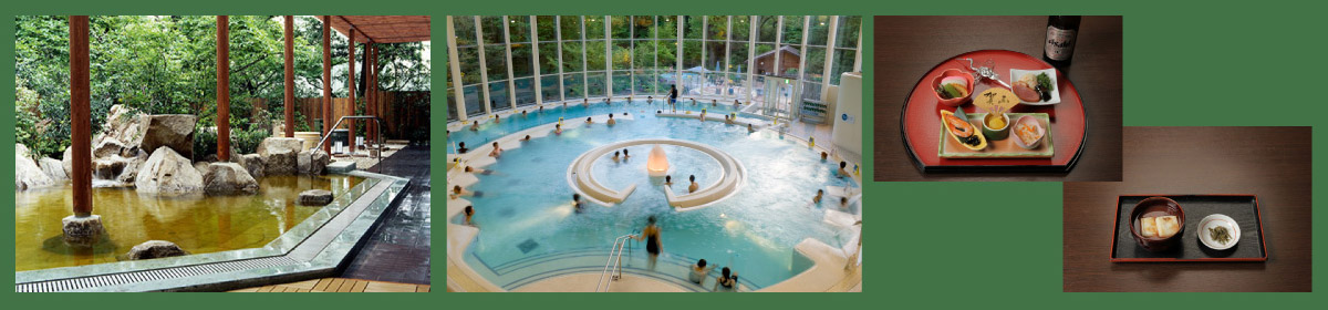 著作権保護のため画像保存禁止