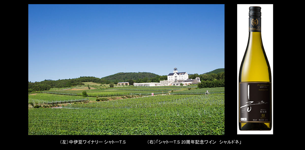 著作権保護のため画像保存禁止