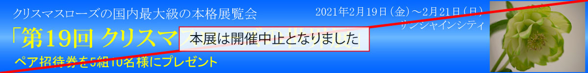 タイトルバナー