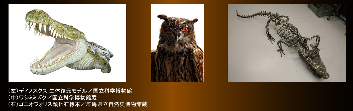 著作権保護のため画像保存禁止