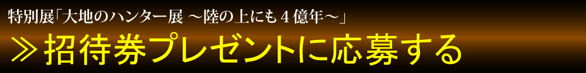 応募ページへ