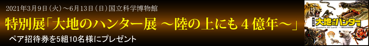 タイトルバナー
