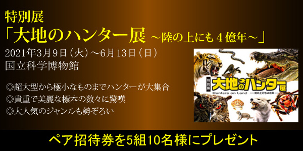 大地のハンター展