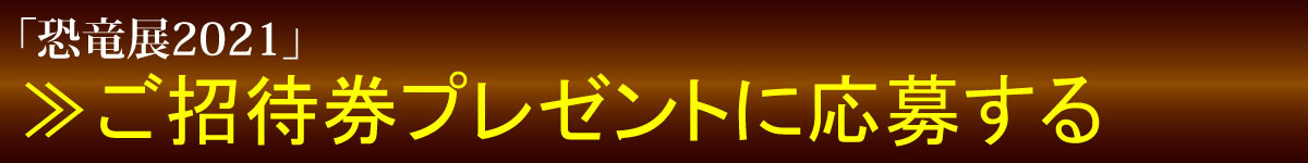 応募ページへ