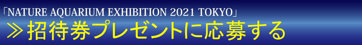 応募ページへ
