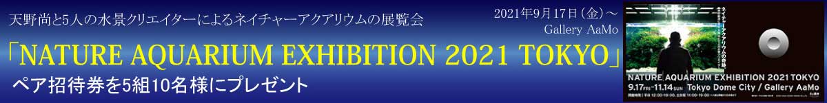 タイトルバナー