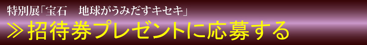 タイトルバナー