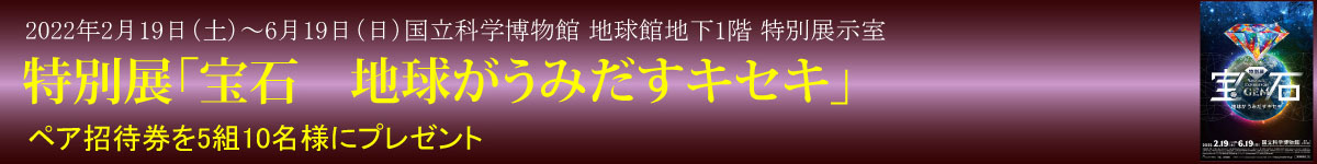 タイトルバナー