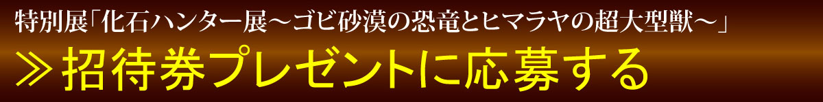 応募するボタン