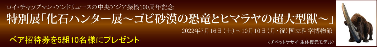 タイトルバナー