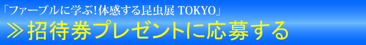 応募するボタン