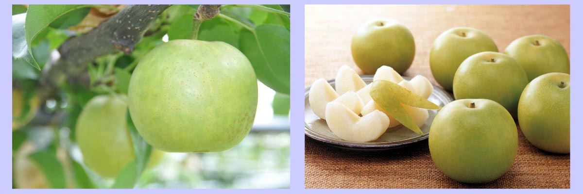 タイトルバナー