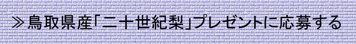 応募するボタン