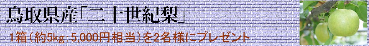 タイトルバナー