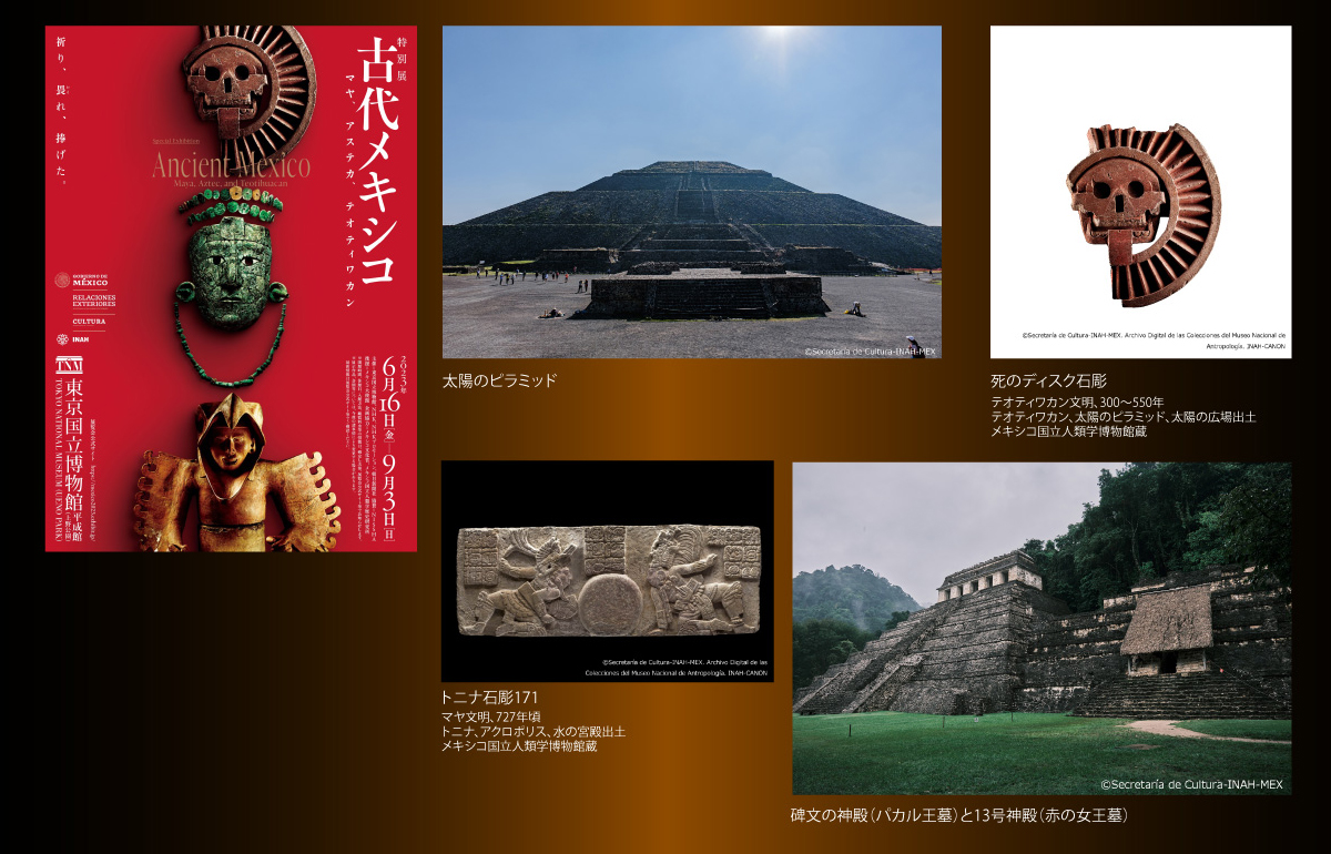 タイトルバナー