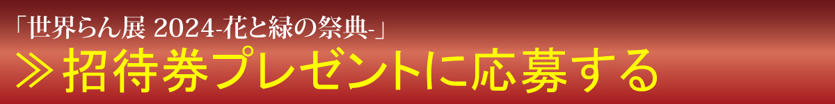 応募するボタン