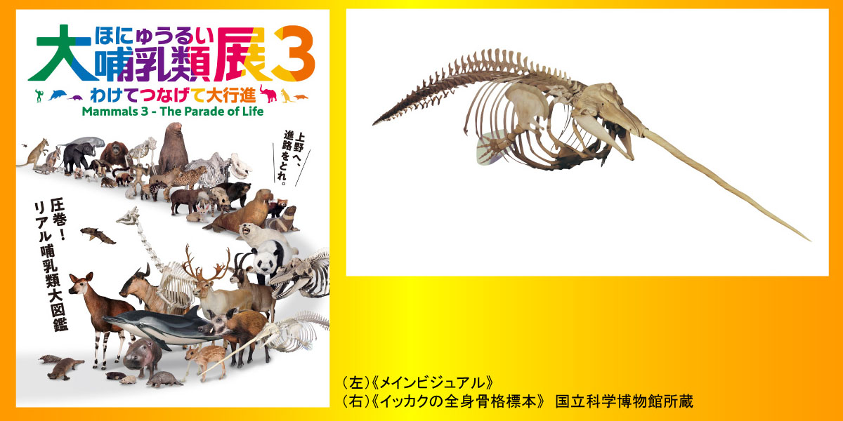 タイトルバナー