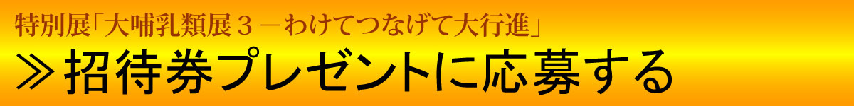 応募するボタン