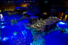 2012年5月10日撮影