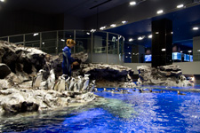 2012年5月10日撮影