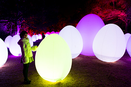 チームラボ 森と湖の光の祭