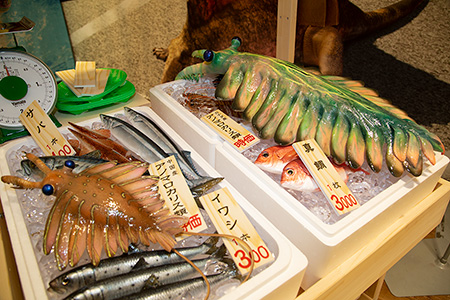 リアルサイズ古生物図鑑