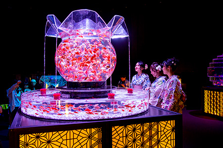 日本橋 アートアクアリウム 2019