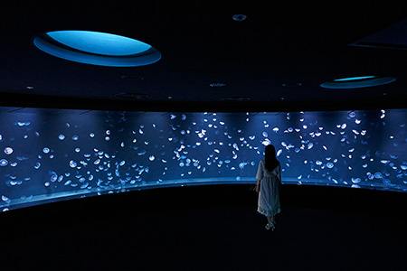 サンシャイン水族館