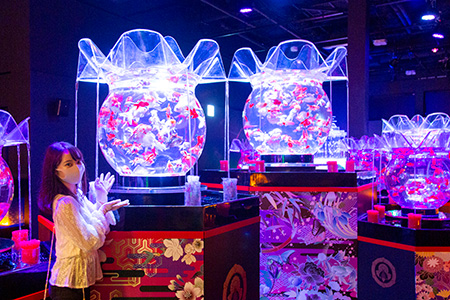 アートアクアリウム美術館