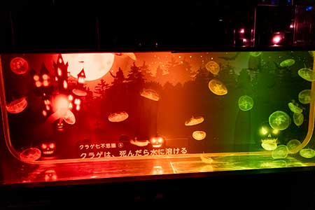 クラゲの生態七不思議の画像