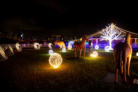 『芝生広場』の画像