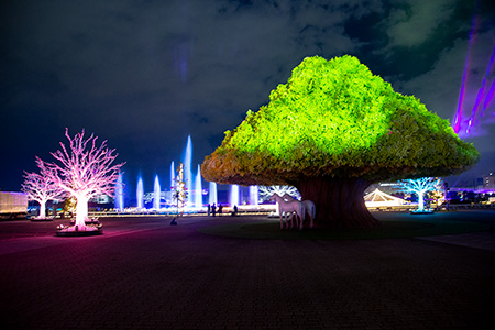 『光と遊ぶ大樹』＋『オーロラの森』の画像