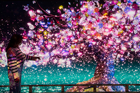 『GINZA 456』サムネイル写真