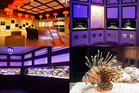 『フォーチュンアクアリウム』サムネイル写真
