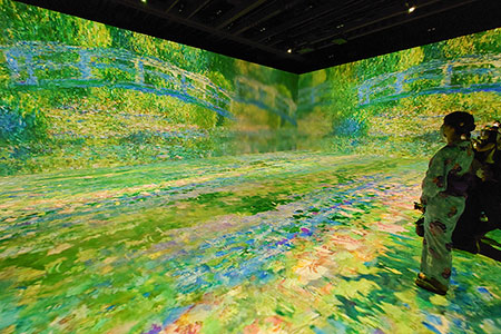 『Immersive Museum』写真