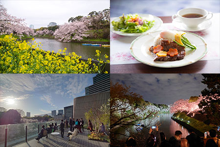 千代田のさくらまつり