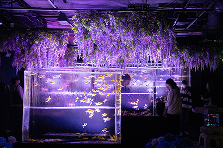 アートアクアリウム美術館