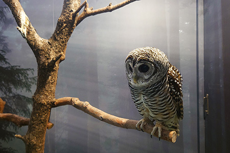 サンシャイン水族館
