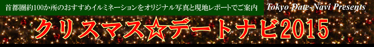 クリスマスナビ画像