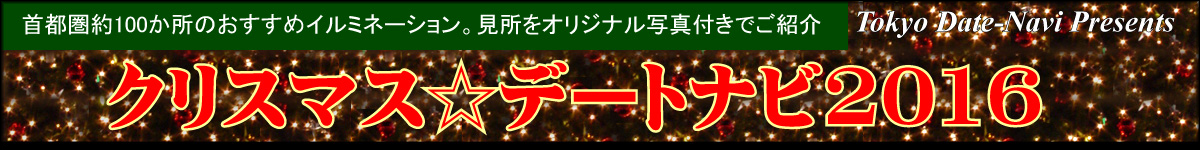 クリスマスナビ画像