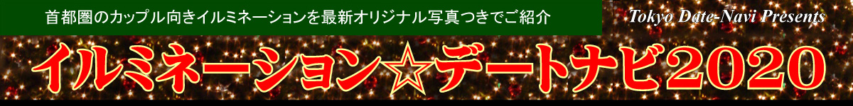 クリスマスナビ画像