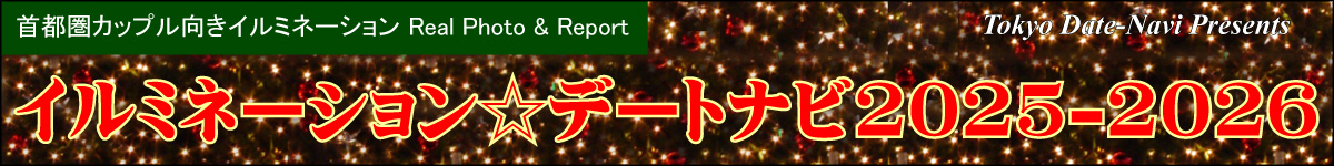 イルミバナー画像大