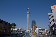 2012年4月5日撮影