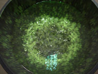 2004N1013c݂pقɂĎBe