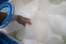 ɁEkɉȊwق̎ʐ^,2010N9Be@