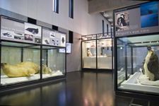 ɁEkɉȊwق̎ʐ^,2010N9Be@