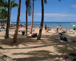 C[W摜iẴr[`͂ǂł傤Hj