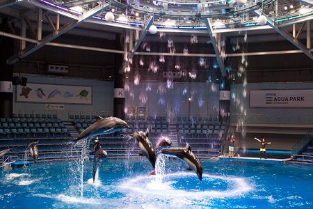 エプソン アクアパーク品川、2015年7月内覧会にて撮影