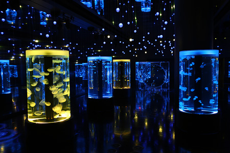 エプソン アクアパーク品川、2015年7月内覧会にて撮影